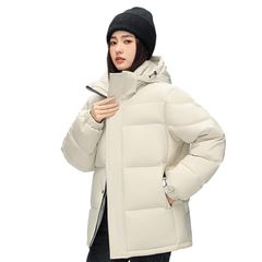 Item thumbnail for item d481724a-c43f-4a67-8b64-332049078a13