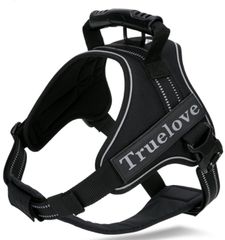 Item thumbnail for item 51aafa16-b39b-43e2-8460-b06cbad64f4f