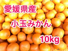 【愛媛・西宇和産】小玉みかん家庭用10kg／甘味と酸味のバランス／訳あり・小玉🍊