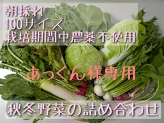 【あっくん様専用】秋冬野菜の詰め合わせ(栽培期間中農薬不使用)