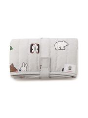 Item thumbnail for item 611674b3-f02f-438b-bb55-2d8556f57f28