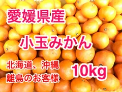 北海道、沖縄、離島のお客様【愛媛・西宇和産】小玉みかん家庭用10kg／甘味と酸味のバランス／訳あり・小玉🍊