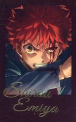 中古】ポスター B2販促ポスター 阿見マリア 「スイセイギンカ」 - メルカリ