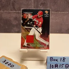 真赤激 #9丸佳浩 直筆サイン入り 帽子 カープ フリー 真赤激 #9丸佳浩 直筆サイン入り 帽子 カープ フリー 真赤激 #9