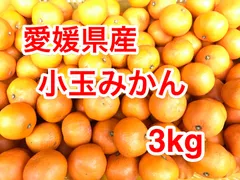 【愛媛・西宇和産】小玉みかん家庭用3kg／甘味と酸味のバランス／訳あり・小玉🍊