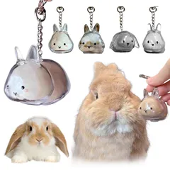 新品 うさぎ 毛 キーホルダー ウサギの毛 キーホルダー ペット 遺毛 ケース 透明 うさぎ・猫・犬の毛収納ボトル 1/4個セット かわいい ペットメモリアルボックス ひげ 兎の毛収納用 カプセルトイ ペンダント 携帯 小動物 メモリアルグッズ ギフトに最適