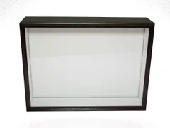 2025年最新】昆虫標本箱の人気アイテム - メルカリ