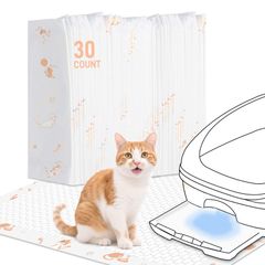 Item thumbnail for item ed5862e3-79a0-4399-9c66-43dbcd66a1d0