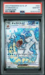 2026年最新】ギャラドスex sr psa10の人気アイテム - メルカリ