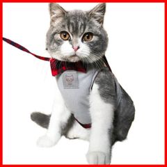 Item thumbnail for item d02d8d88-72cf-492f-a9e1-2cedb7d9acff