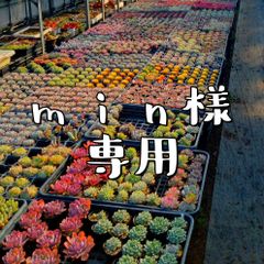 min様専用 - メルカリ