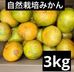 自然栽培　幻の大豆『八天狗』20kg 熊本県産 自然栽培 幻の大豆『八天狗』20kg 熊本県産 - メルカリ