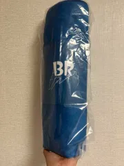 2026年最新】ビョンウソク ブランケットの人気アイテム - メルカリ