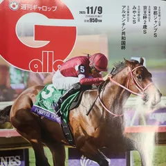 匿名!送料無料!競馬、ギャロップ 2025年11月9日