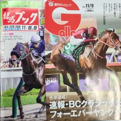 匿名!送料無料!競馬、ギャロップ、ブック 2025年11月9日 2つセット