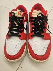 ナイキ ダンクロー レトロ プレミアム (285)