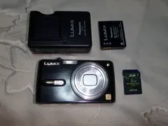 2025年最新】dmc-fx07の人気アイテム - メルカリ