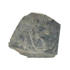 超BIGサイズ グリーンフローライト 蛍石 原石（2485）天然石 レア品