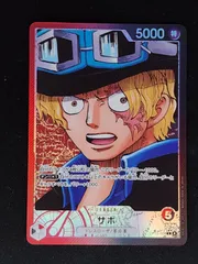 サボ　リーダー　パラレル