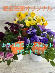 2025年最新】ガーデニング 花苗の人気アイテム - メルカリ