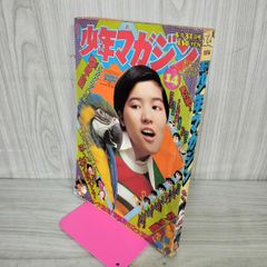 永井豪 彩色済みフィギュア【バイオレンスジャンク】【中身未開封
