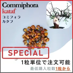 2025年最新】コミフォラ カタフの人気アイテム - メルカリ