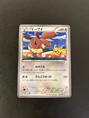 2025年最新】プロモーションカード イーブイ ピカチュウ