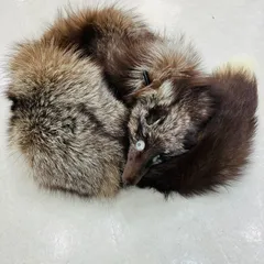 A【毛皮ファー】高級シルバーフォックス ファーマフラー ストール