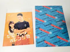 Snow Man 岩本照 出演作品パンフレット 2冊セット　モエカレはオレンジ色/Catch me if you can