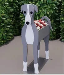 2025年最新】イタリアングレーハウンドの人気アイテム - メルカリ