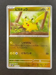 2025年最新】ピカチュウ モンスターボールミラー psa10の人気アイテム