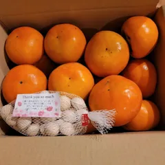 みかん。出品 2025年最新】訳ありみかんの人気アイテム - メルカリ