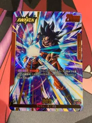 2025年最新】孫悟空 リーダーパラレルの人気アイテム - メルカリ