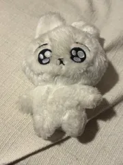 BTS ジョングク ぬいぐるみ ククパケ 出品