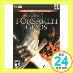 Gothic 3: Forsaken Gods (輸入版) [video game]_02