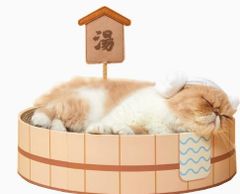 Item thumbnail for item 22eddb8d-bd9a-473a-aa09-972d19e7bdc2