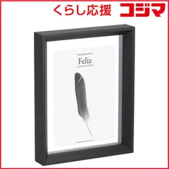 【 新品 未開封 】   ハクバ フローティングフォトフレーム Feliz(フェリス) 156×206mm L / KG / ハガキ / 2L / カビネ サイズ ブラック FWFFZ-BK2L 未使用 送料無料