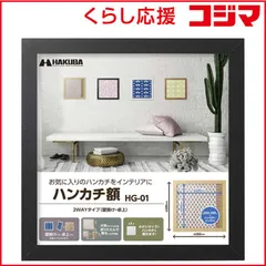 【 新品 未開封 】 ハクバ ハンカチ額 HG-01 ブラック FWHG-01BK 未使用 送料無料