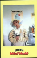 StrayKids MINI WORLD Hyunjin 2023 Seasons Greeting 黄/POB