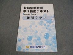 早稲アカ⭐︎夏季集中特訓⭐︎中3補助テキスト⭐︎難関クラス⭐︎英語