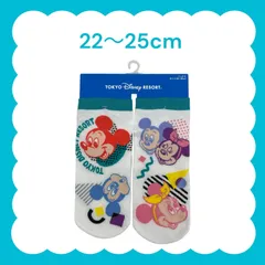 ディズニー ソックス 靴下【22～25cm】ミッキー＆ミニー＆ドナルド＆デイジー＆ヒューイ デューイ ルーイ 2枚セット 東京ディズニーリゾート TDR