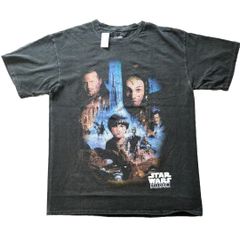 Disney 4TOWN Tシャツ 私ときどきレッサーパンダ 映画 希少 激レア