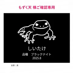 【もずく天様ご確認用】プレート　レオパードゲッコー  nameplate-cage-pp-reopa