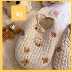 Item thumbnail for item 56c619ce-4e9a-4877-8fa5-a321c089c363