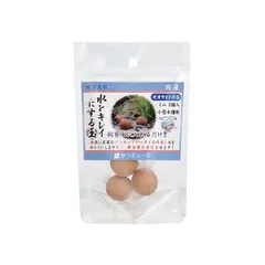 【新品・7営業日以内発送】サンミューズ 4530052200371 ゼオライトの玉 ミニ ブラウン 3個入【沖縄離島販売不可】のサムネイル