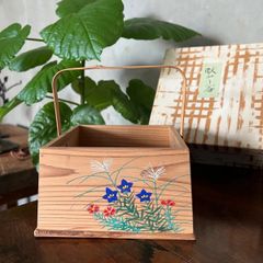 巨大 トキワシノブ 陶器鉢付き シダ植物 - メルカリ