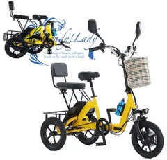 電動アシスト三輪車　前面バスケット付き 電動アシスト自転車 三輪自転車」の人気商品一覧 | 安い商品を