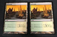 ウォーハンマー統率者デッキ ネクロン王朝Collector's Edition MTG開封】統率者デッキ：ウォーハンマー40,000 Collector's Edition