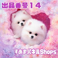 ガーゼハンカチ ハンドメイド パネル生地 犬柄 ポメラニアン 2枚セット