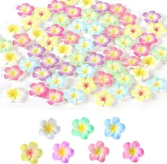 JP Number デコパーツ プルメリア 7色 70個セット レジン 花 ビーズ ネイルパーツ (2.8cm)